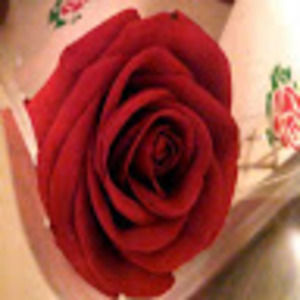 Meet your Posher, Karli